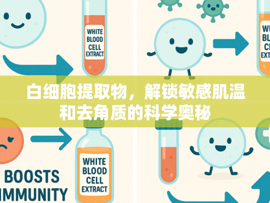 白细胞提取物，解锁敏感肌温和去角质的科学奥秘