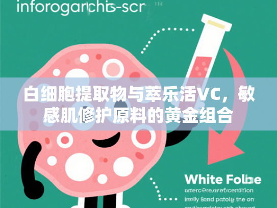 白细胞提取物与萃乐活VC，敏感肌修护原料的黄金组合
