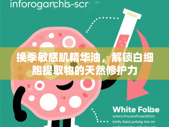 换季敏感肌精华油，解锁白细胞提取物的天然修护力
