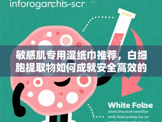 敏感肌专用湿纸巾推荐，白细胞提取物如何成就安全高效的护肤体验