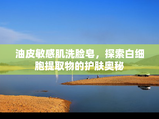 油皮敏感肌洗脸皂，探索白细胞提取物的护肤奥秘