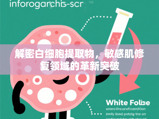 解密白细胞提取物，敏感肌修复领域的革新突破