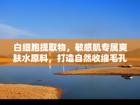 白细胞提取物，敏感肌专属爽肤水原料，打造自然收缩毛孔新方案