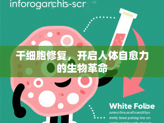 干细胞修复，开启人体自愈力的生物革命