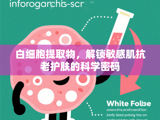 白细胞提取物，解锁敏感肌抗老护肤的科学密码