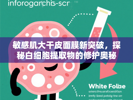 敏感肌大干皮面膜新突破，探秘白细胞提取物的修护奥秘