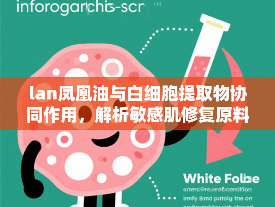 lan凤凰油与白细胞提取物协同作用，解析敏感肌修复原料的科技突破与批发优势