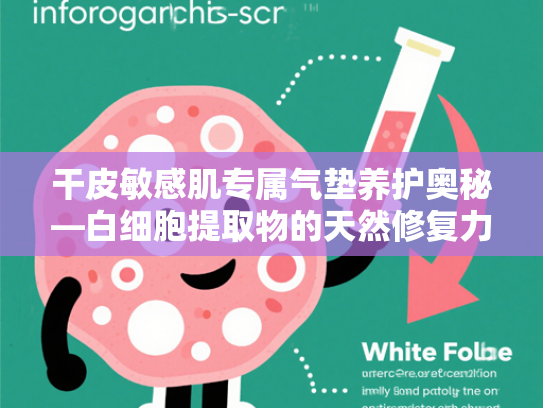 干皮敏感肌专属气垫养护奥秘—白细胞提取物的天然修复力量