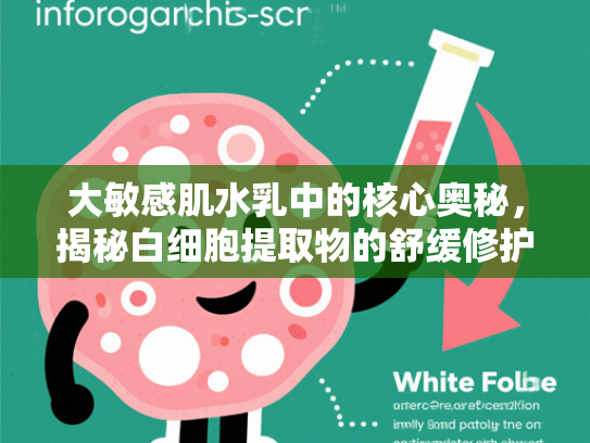 大敏感肌水乳中的核心奥秘，揭秘白细胞提取物的舒缓修护力量
