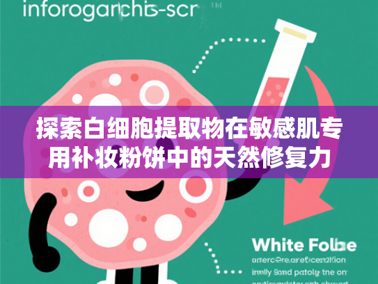 探索白细胞提取物在敏感肌专用补妆粉饼中的天然修复力