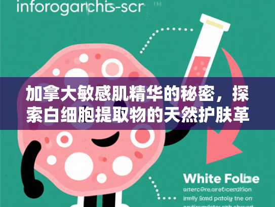 加拿大敏感肌精华的秘密，探索白细胞提取物的天然护肤革命