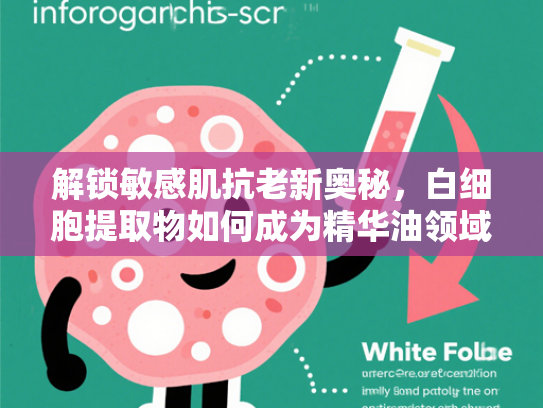 解锁敏感肌抗老新奥秘，白细胞提取物如何成为精华油领域的科技突破