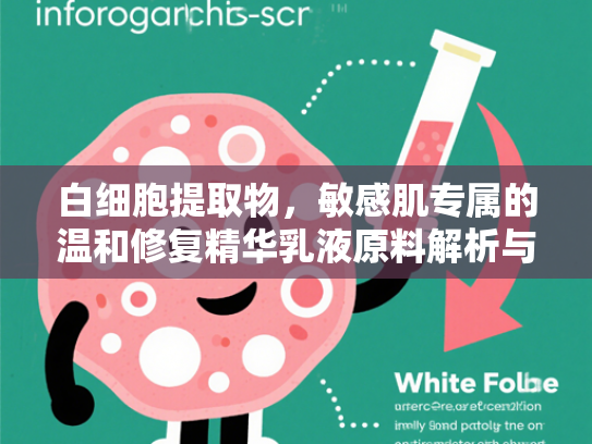 白细胞提取物，敏感肌专属的温和修复精华乳液原料解析与选购指南