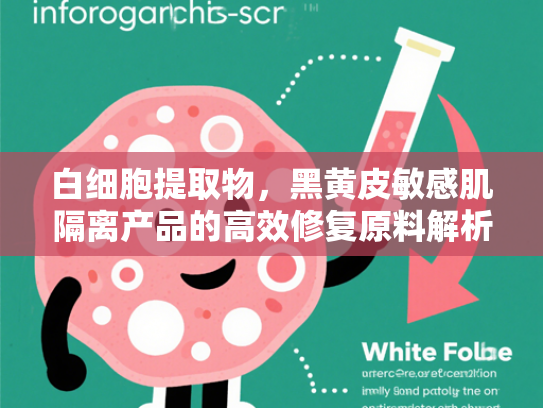 白细胞提取物，黑黄皮敏感肌隔离产品的高效修复原料解析