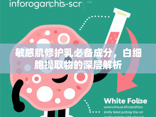 敏感肌修护乳必备成分，白细胞提取物的深层解析