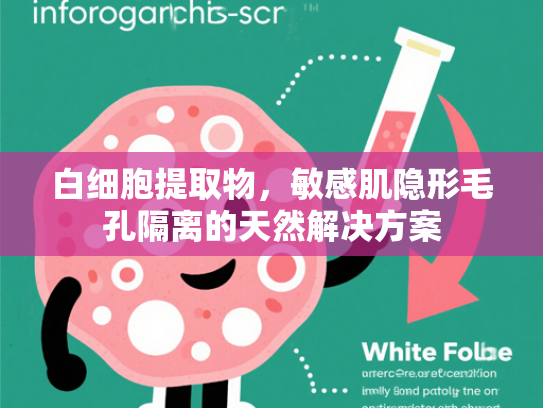 白细胞提取物，敏感肌隐形毛孔隔离的天然解决方案