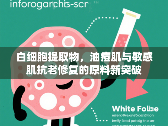 白细胞提取物，油痘肌与敏感肌抗老修复的原料新突破