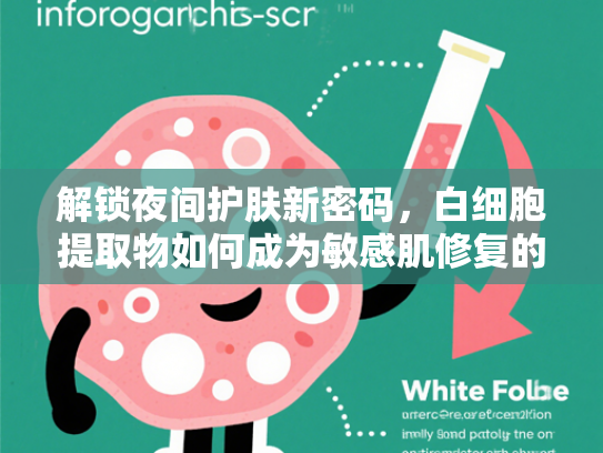 解锁夜间护肤新密码，白细胞提取物如何成为敏感肌修复的黄金成分