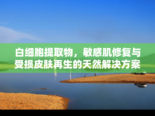 白细胞提取物，敏感肌修复与受损皮肤再生的天然解决方案