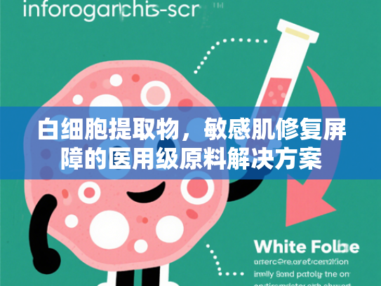 白细胞提取物，敏感肌修复屏障的医用级原料解决方案