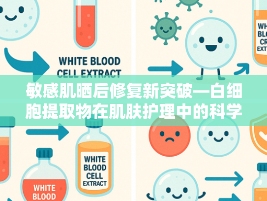 敏感肌晒后修复新突破—白细胞提取物在肌肤护理中的科学应用