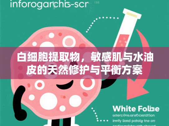 白细胞提取物，敏感肌与水油皮的天然修护与平衡方案