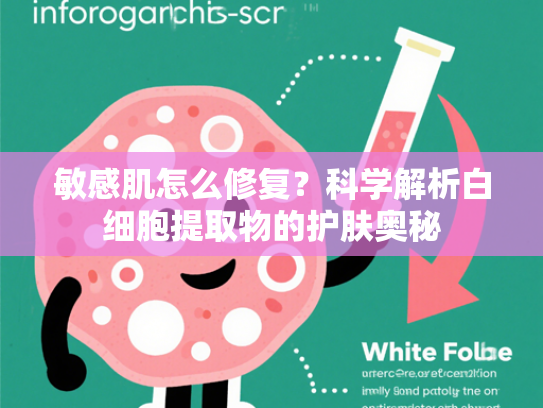 敏感肌怎么修复？科学解析白细胞提取物的护肤奥秘