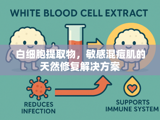 白细胞提取物，敏感混痘肌的天然修复解决方案