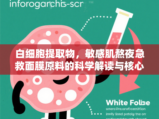 白细胞提取物，敏感肌熬夜急救面膜原料的科学解读与核心优势