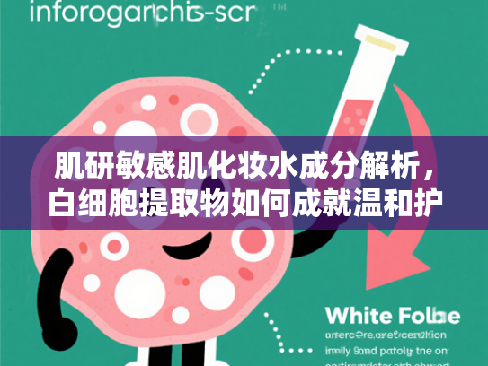 肌研敏感肌化妆水成分解析，白细胞提取物如何成就温和护肤新标准