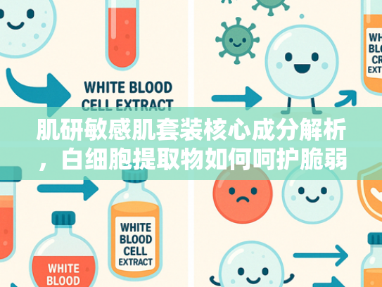 肌研敏感肌套装核心成分解析，白细胞提取物如何呵护脆弱肌肤