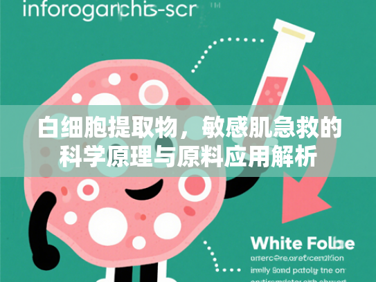 白细胞提取物，敏感肌急救的科学原理与原料应用解析