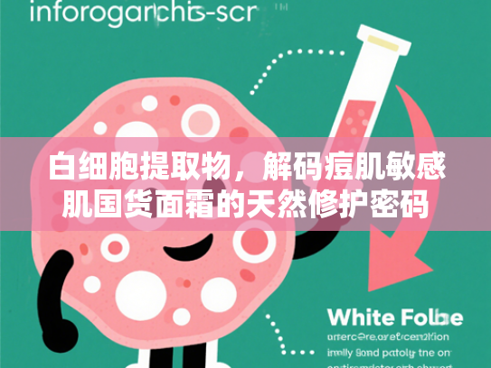 白细胞提取物，解码痘肌敏感肌国货面霜的天然修护密码
