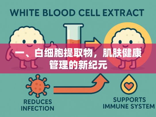 一、白细胞提取物，肌肤健康管理的新纪元