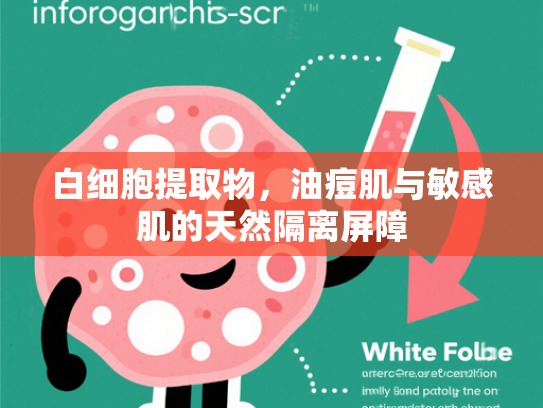 白细胞提取物，油痘肌与敏感肌的天然隔离屏障