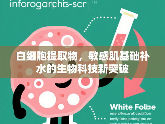 白细胞提取物，敏感肌基础补水的生物科技新突破