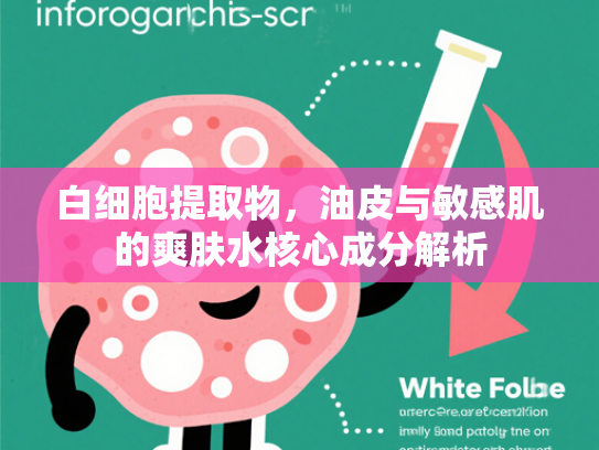白细胞提取物，油皮与敏感肌的爽肤水核心成分解析