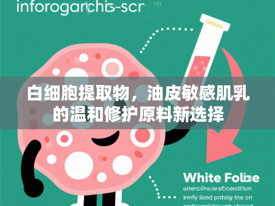 白细胞提取物，油皮敏感肌乳的温和修护原料新选择