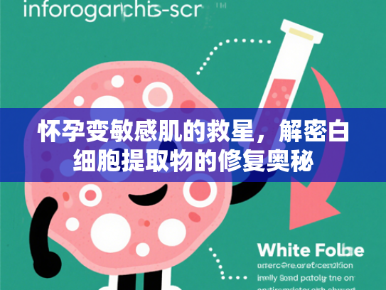 怀孕变敏感肌的救星，解密白细胞提取物的修复奥秘