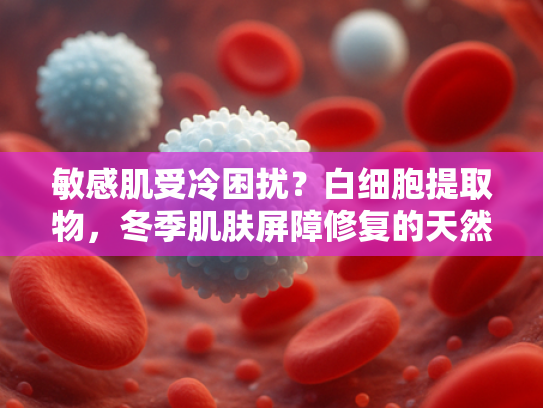 敏感肌受冷困扰？白细胞提取物，冬季肌肤屏障修复的天然解决方案