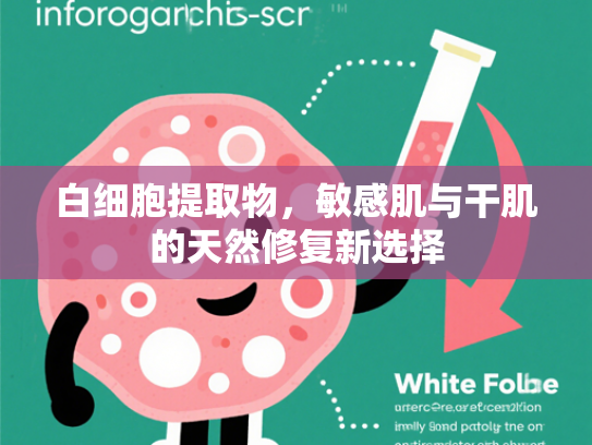 白细胞提取物，敏感肌与干肌的天然修复新选择