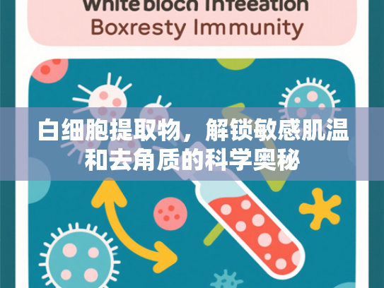 白细胞提取物，解锁敏感肌温和去角质的科学奥秘