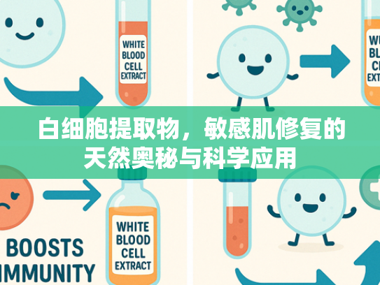 白细胞提取物，敏感肌修复的天然奥秘与科学应用