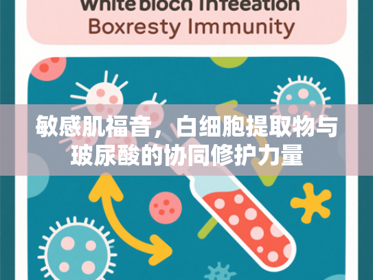 敏感肌福音，白细胞提取物与玻尿酸的协同修护力量