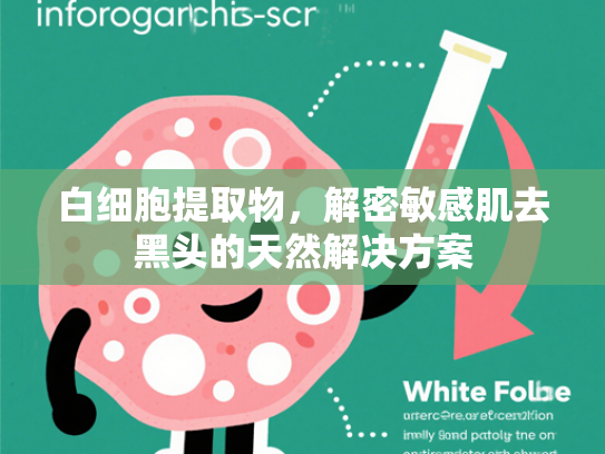 白细胞提取物，解密敏感肌去黑头的天然解决方案
