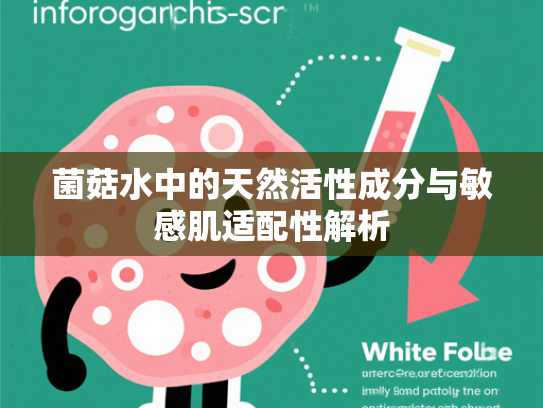 菌菇水中的天然活性成分与敏感肌适配性解析