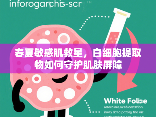 春夏敏感肌救星，白细胞提取物如何守护肌肤屏障