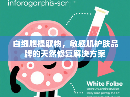 白细胞提取物，敏感肌护肤品牌的天然修复解决方案