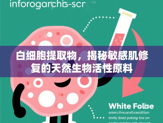 白细胞提取物，揭秘敏感肌修复的天然生物活性原料