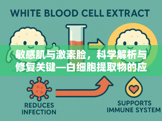 敏感肌与激素脸，科学解析与修复关键—白细胞提取物的应用价值